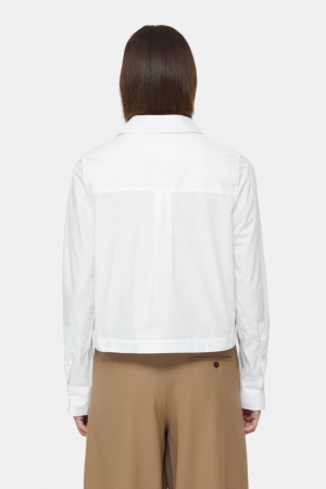  200 white