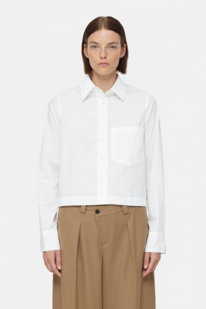  200 white
