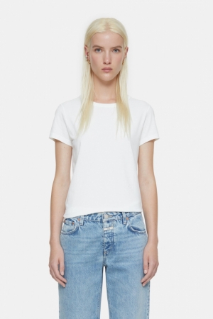  218 ivory