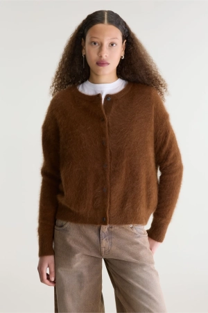  bison