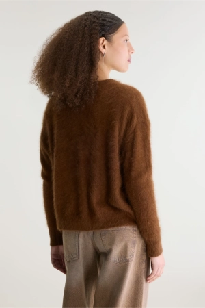  bison